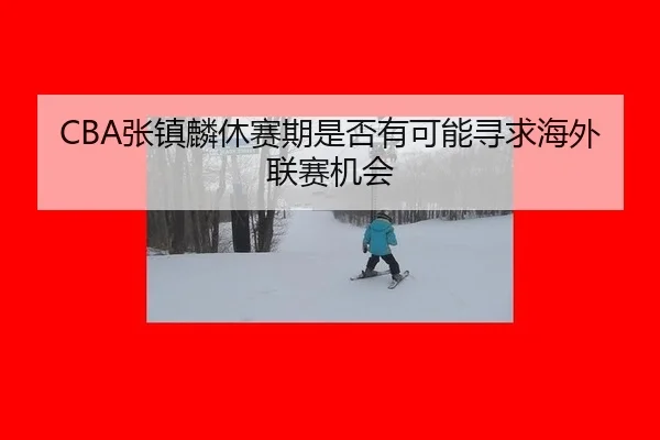 zhang-zhen-lin-xiu-sai-qi-shi-fou-you-ke-neng-xun-qiu-hai-wai-lian-sai-ji-hui-2-884.jpg
